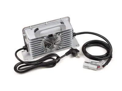 BSR C2000 Electric Kart Charger