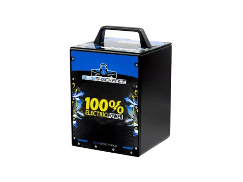 BSR B1600 Electric Kart Battery